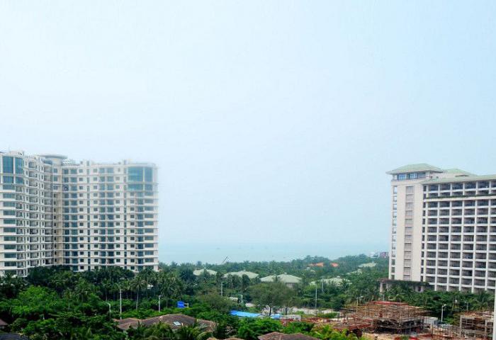  owl image