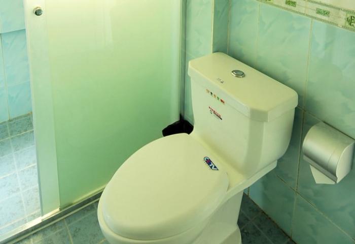  owl image