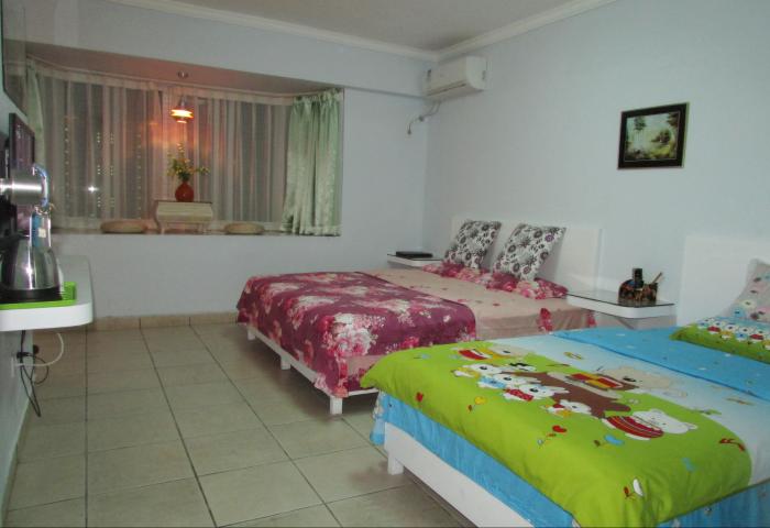  owl image