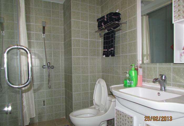  owl image