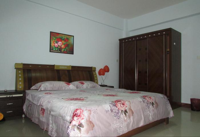  owl image