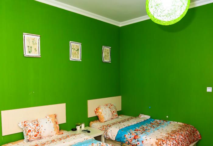 绿野仙踪（标间）