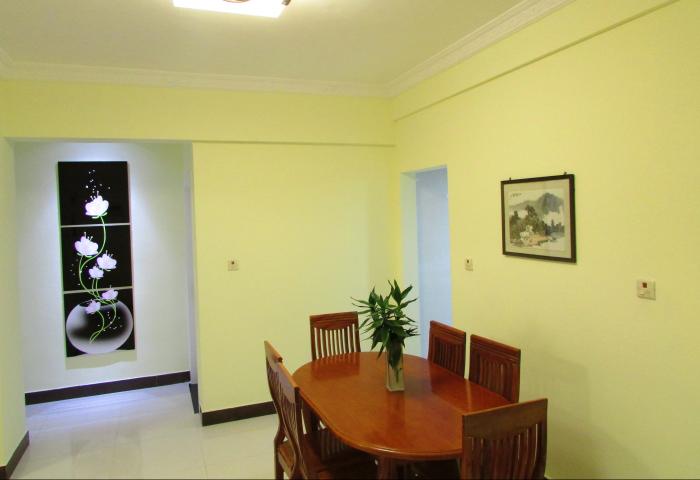  owl image