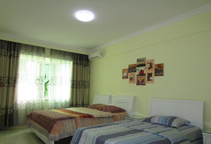  owl image