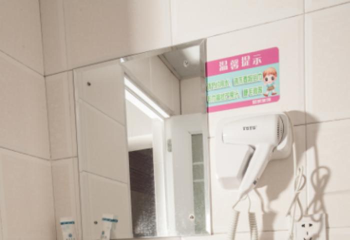 owl image