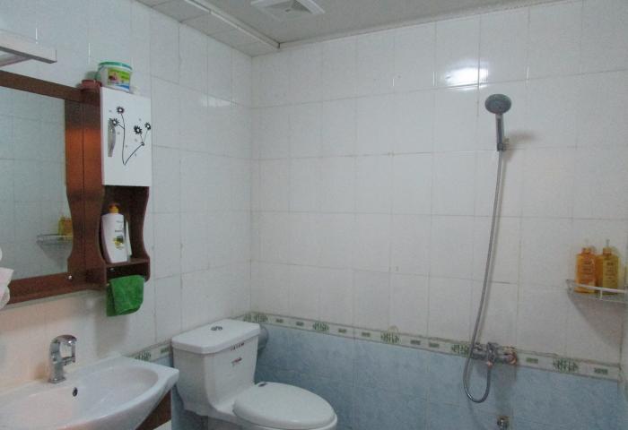  owl image