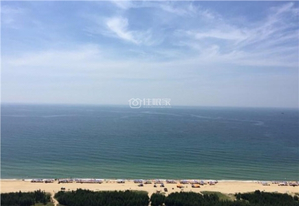 海洋之心