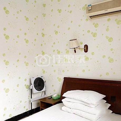  owl image