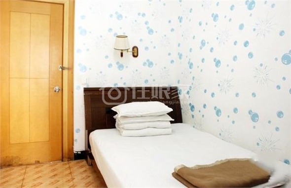  owl image
