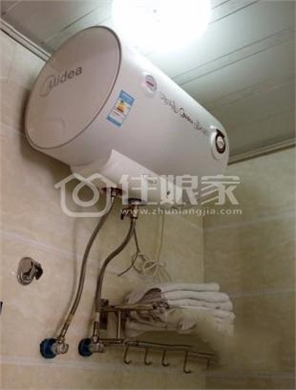  owl image