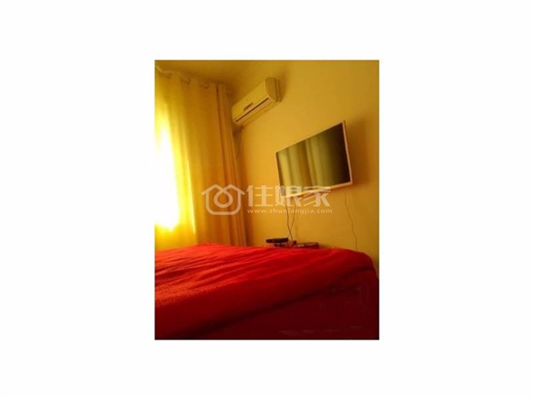owl image