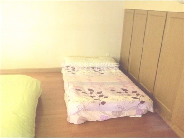  owl image