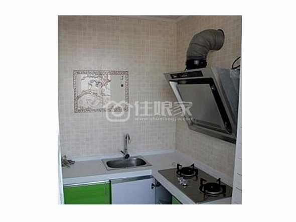owl image