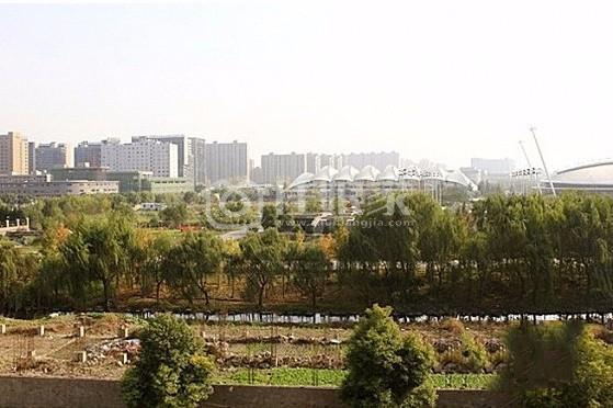 浙大紫荆港阳光大床房