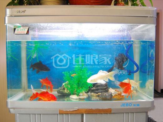 党河风情线附近 3室2厅 精装修