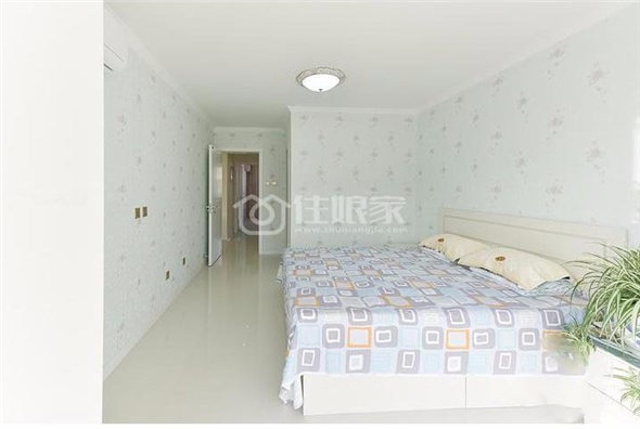  owl image