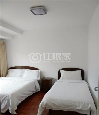  owl image