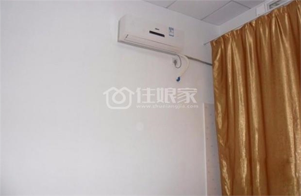 owl image