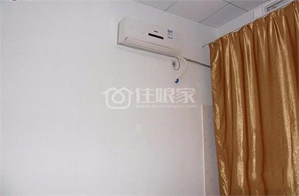 owl image
