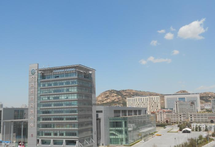  owl image