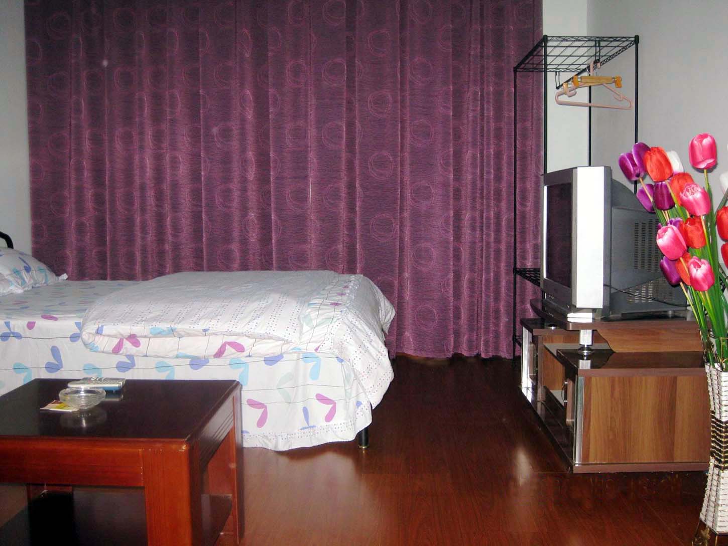 郑州豪华商务日租房