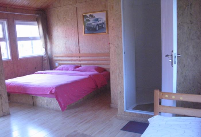  owl image