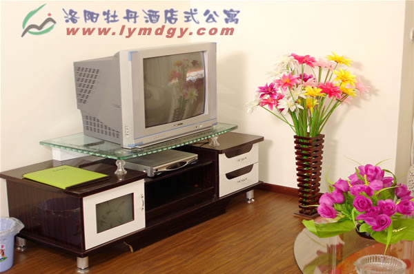 洛阳温馨套房酒店式公寓