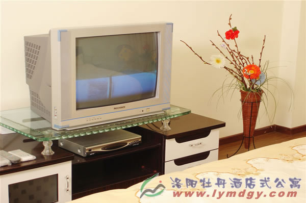 洛阳温馨家庭房酒店式公寓
