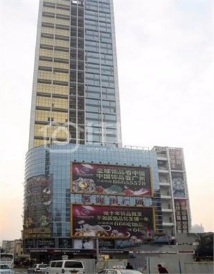  owl image