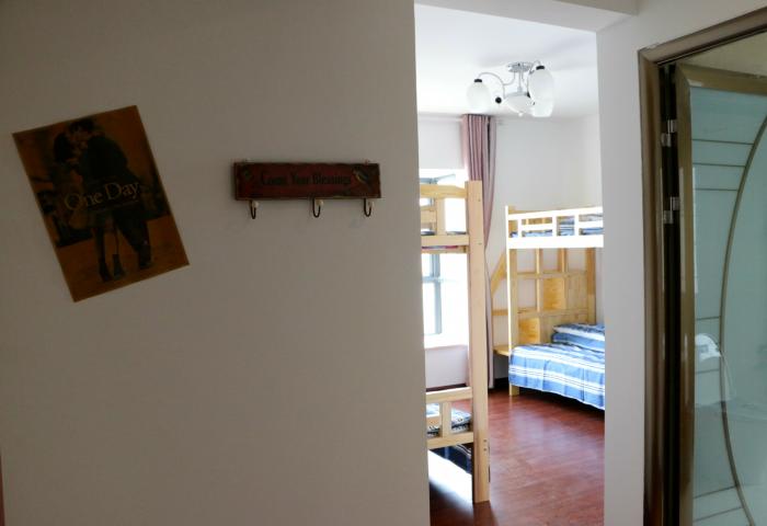 owl image