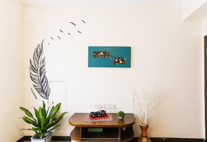  owl image