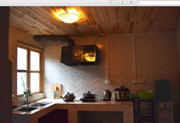  owl image