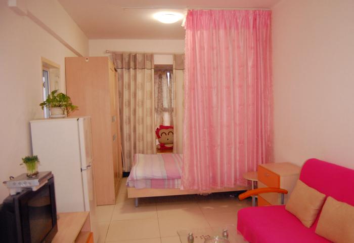  owl image