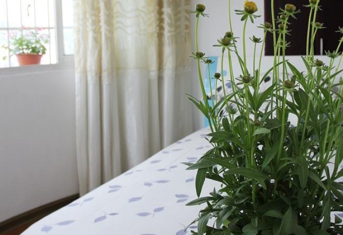 湘遇花园单间