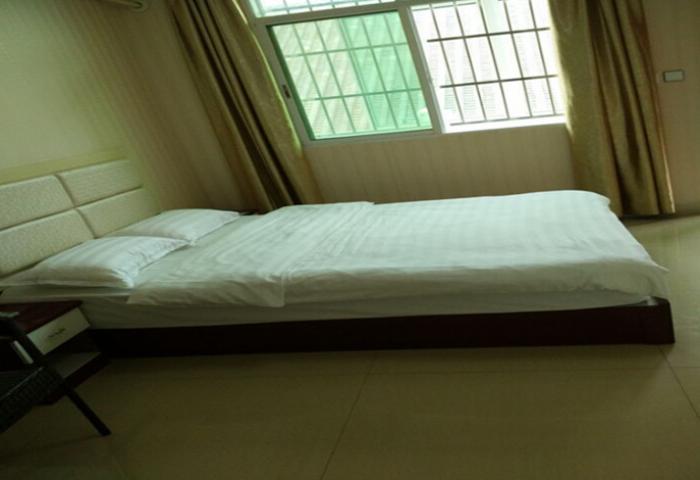  owl image