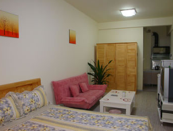 成都简约风格 酒店式公寓 日租