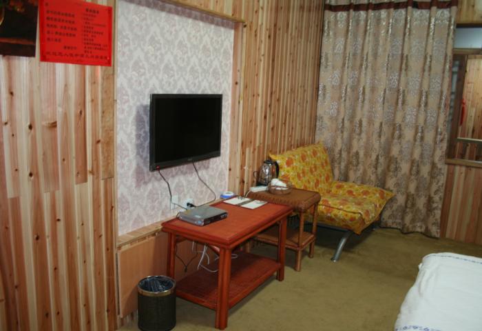owl image