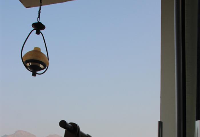 owl image