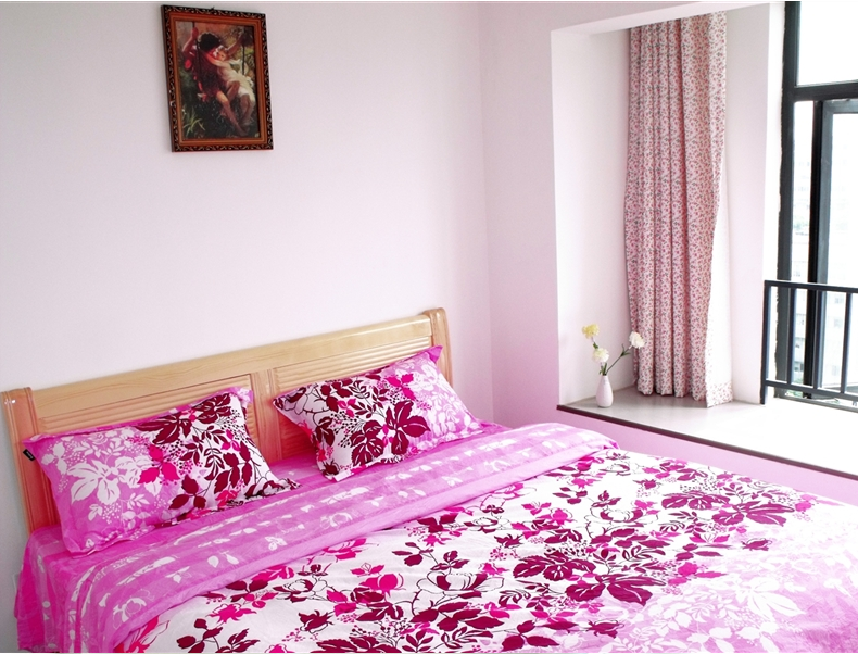 成都一室两厅一厨一卫一阳台落地窗优质