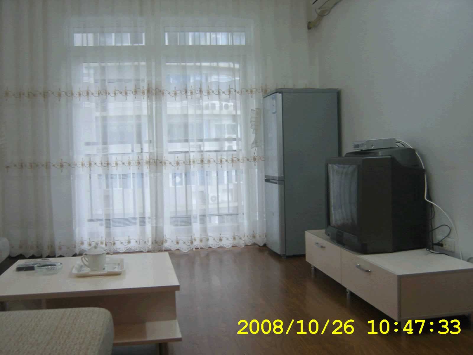  owl image