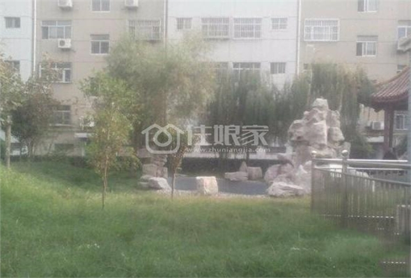  owl image
