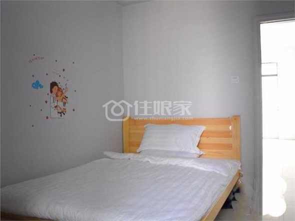  owl image