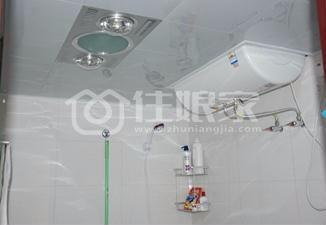  owl image