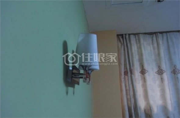 owl image