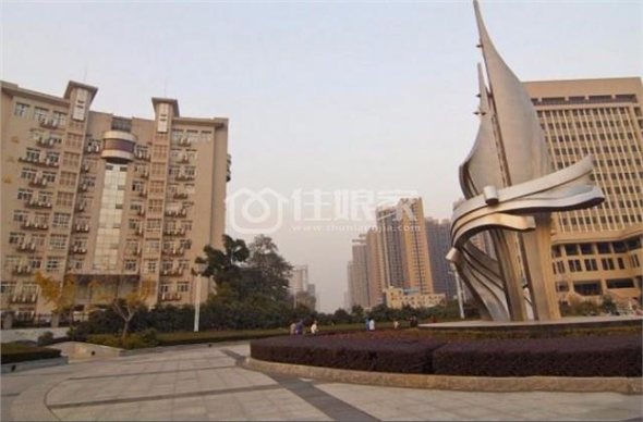  owl image