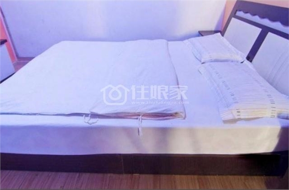 *一夜春风来，樱花皆盛开