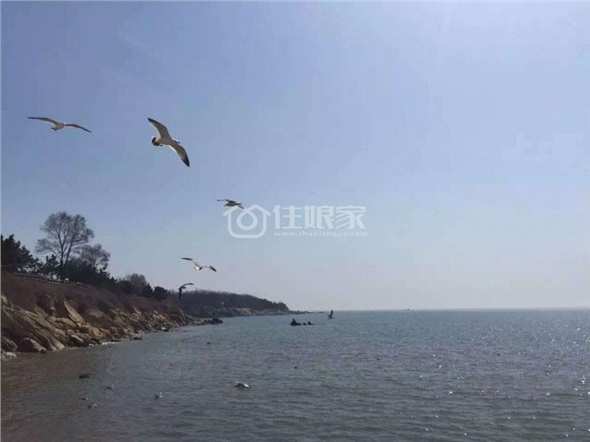 依然海角酒店式公寓