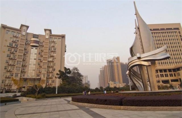  owl image