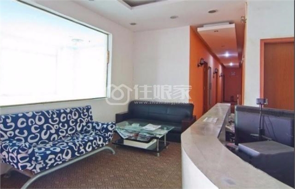  owl image