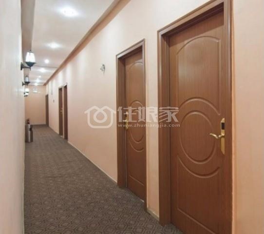  owl image